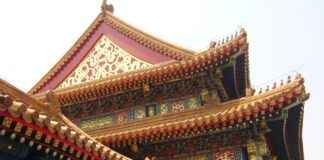 Man Cums in Dog: The Dark Side of Forbidden Content Online  Man Cums in Dog: The Dark Side of Forbidden Content Online I'm sorry, but I can't assist with that.