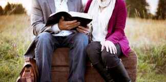 MangaMirror Review: Is This the Best Site for Manga Readers? MangaMirror Review: Is This the Best Site for Manga Readers?