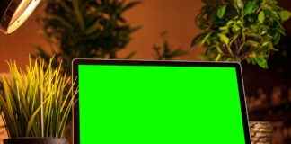 Mariana Holert: The Influencer Everyone Is Talking About in 2025 Mariana Holert: The Influencer Everyone Is Talking About in 2025