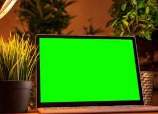 Mariana Holert: The Influencer Everyone Is Talking About in 2025 Mariana Holert: The Influencer Everyone Is Talking About in 2025