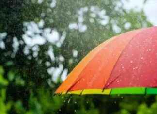 IMD Forecast: Light Rain in Delhi Today | Delhi Weather md-forecast-light-rain-in-delhi-today-delhi-weather