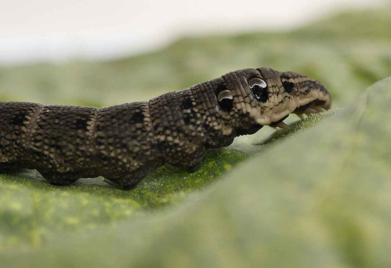 Medium Length Haircut Styles: The Best Hairstyles for Versatile Looks 1 What Are the Most Popular Medium Length Haircut Styles?