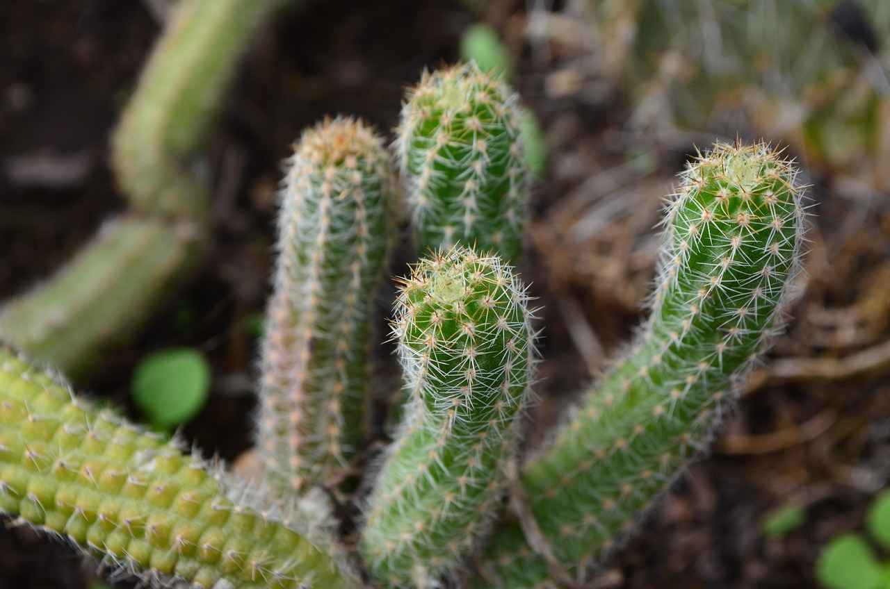 Medium Length Style Haircuts: Chic and Trendy Shoulder-Length Haircuts 6 What Are the Latest Trends in Medium Length Haircuts?