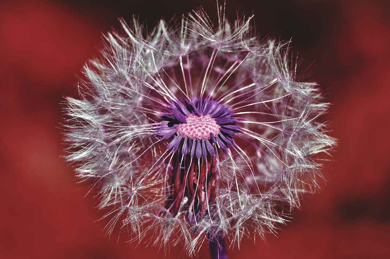 Men's Fade Haircut Styles: The Coolest Fade Cuts for Every Hair Type 2 Types of Fade Haircuts