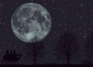 Mens Haircut Styles for Short Thick Hair: The Best Cuts for Manageability Mens Haircut Styles for Short Thick Hair: The Best Cuts for Manageability