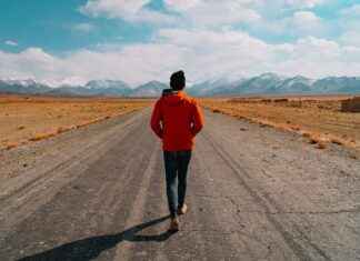 Mens Haircut Styles Short Back and Sides: The Timeless Classic Cut Mens Haircut Styles Short Back and Sides: The Timeless Classic Cut