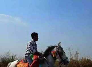 Mercury Rising: Clear Skies and Still Air Impact – SEO-friendly, 80-100 characters mercury-rising-clear-skies-and-still-air-mpact-seo-friendly-80-100-characters