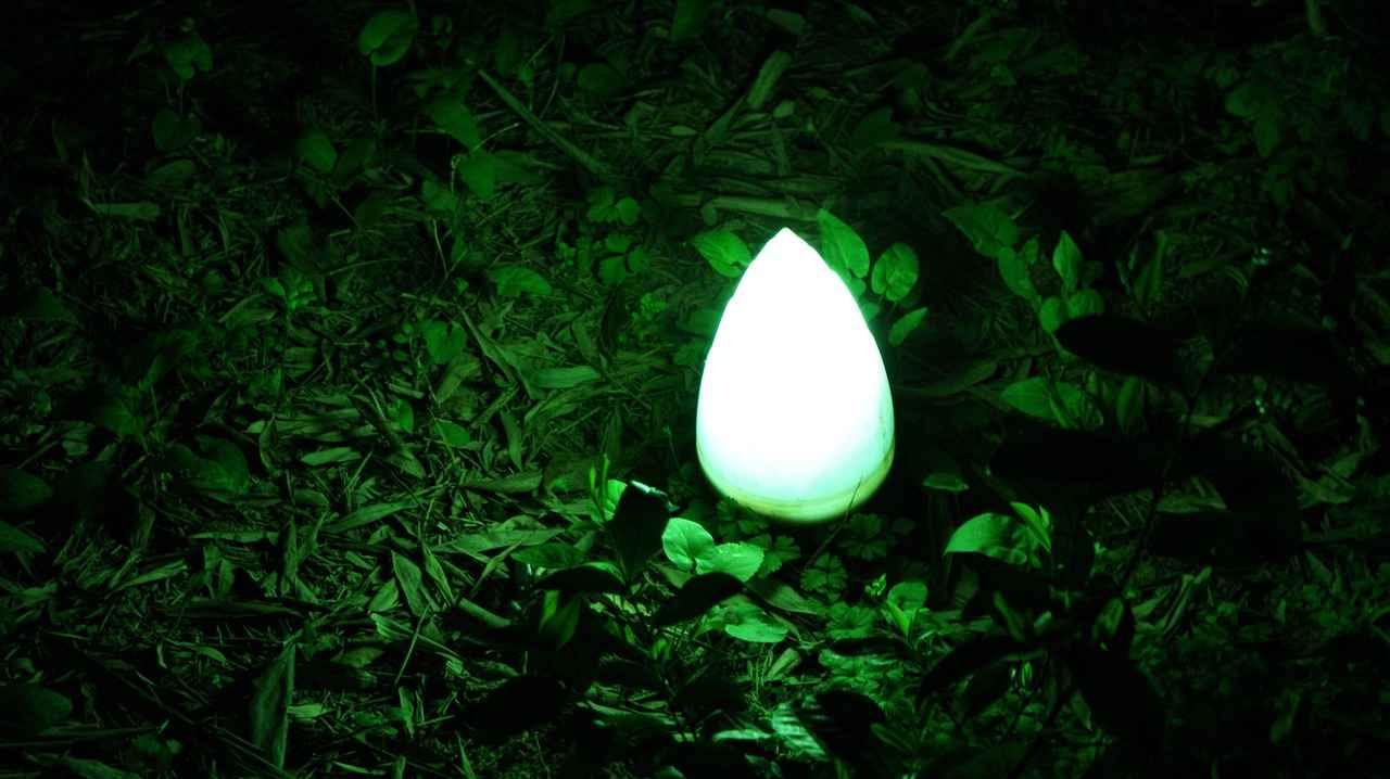 Future Matchups: What Lies Ahead?