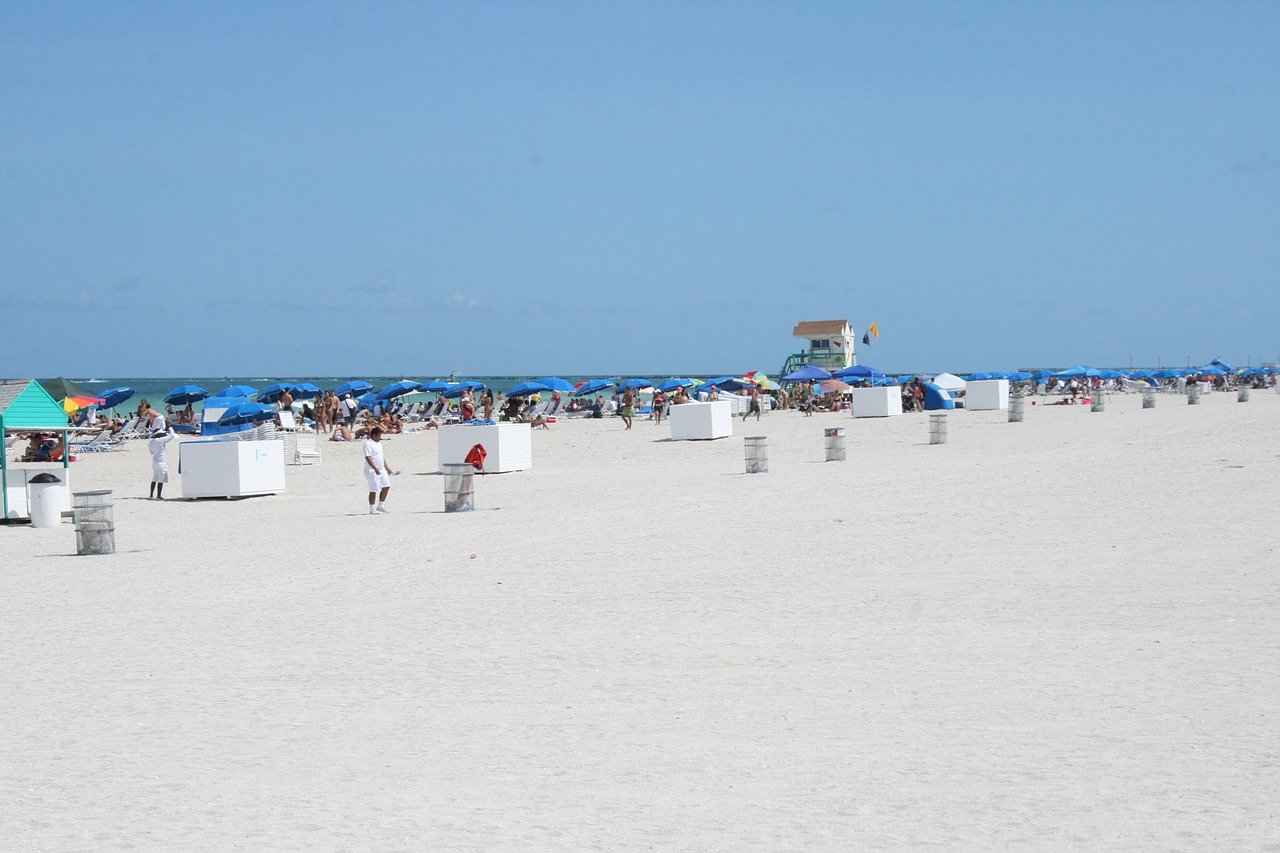 Miami Dolphins vs Buffalo Bills Match Player Stats 3 Key Offensive Players for the Dolphins