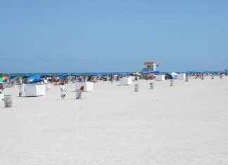 Miami Dolphins vs. Buffalo Bills: Top Performers and Stats Breakdown Miami Dolphins vs. Buffalo Bills: Top Performers and Stats Breakdown