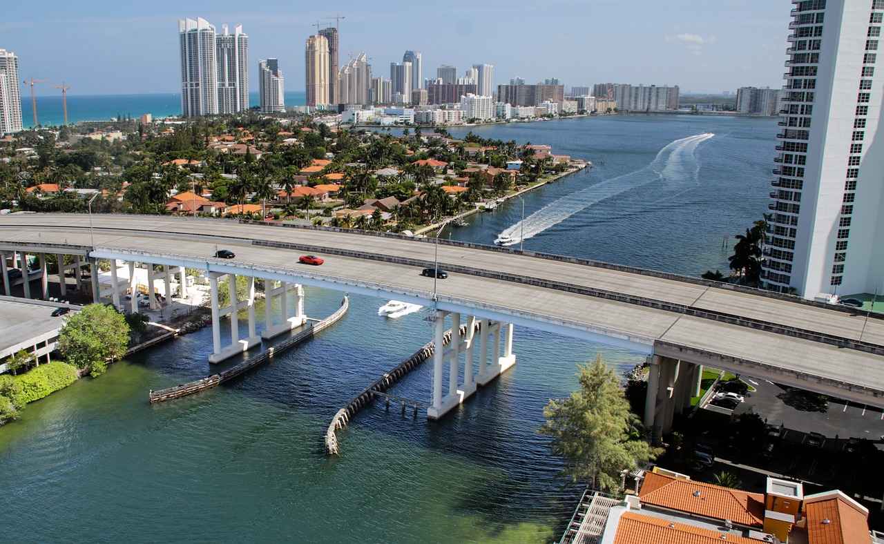 Miami’s Top Hair Transplant Clinics: A 2024 Review 1 Why Choose Miami for Hair Transplants?