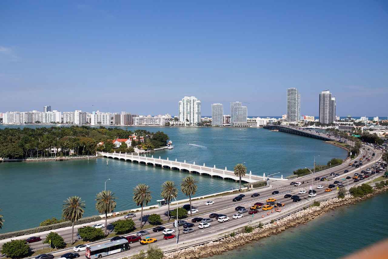 Miami’s Top Hair Transplant Clinics: A 2024 Review 4 Cost of Hair Transplants in Miami