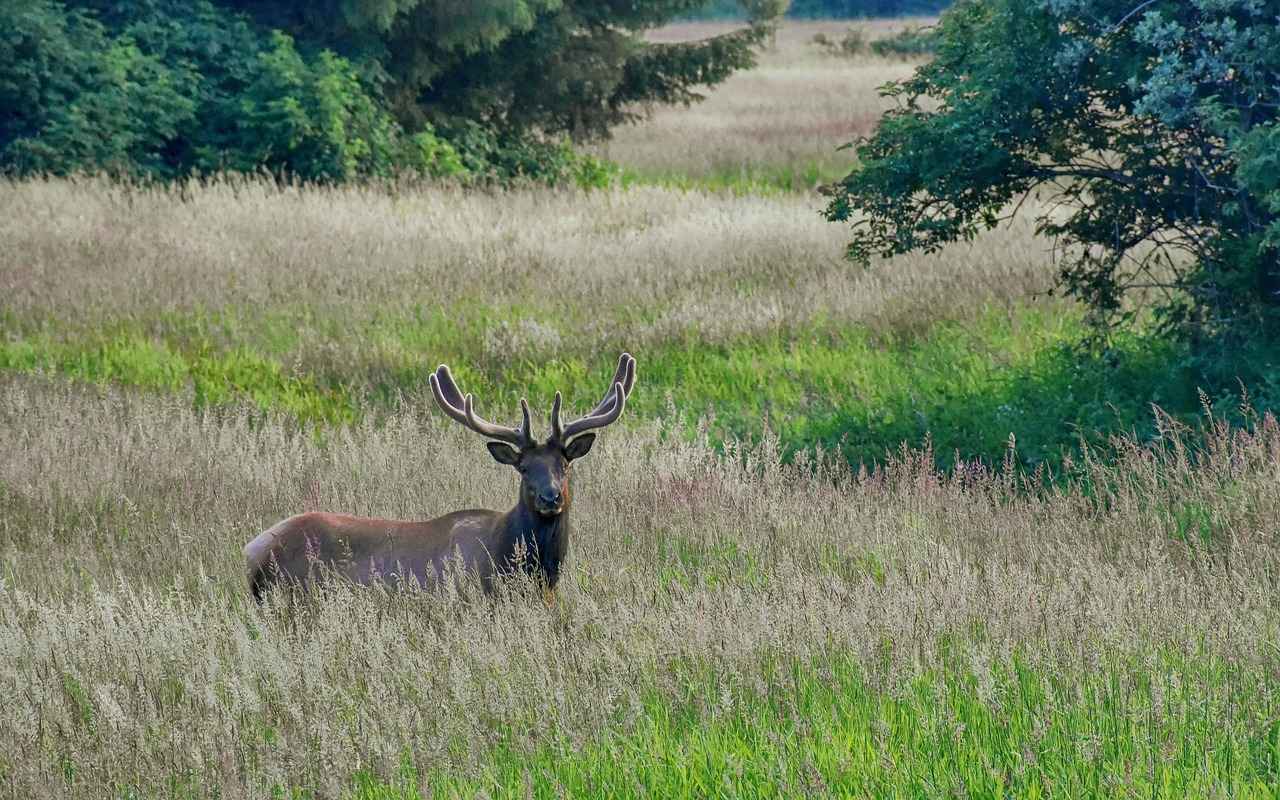 Milwaukee Bucks vs OKC Thunder Match Player Stats 1 Overview of the Milwaukee Bucks