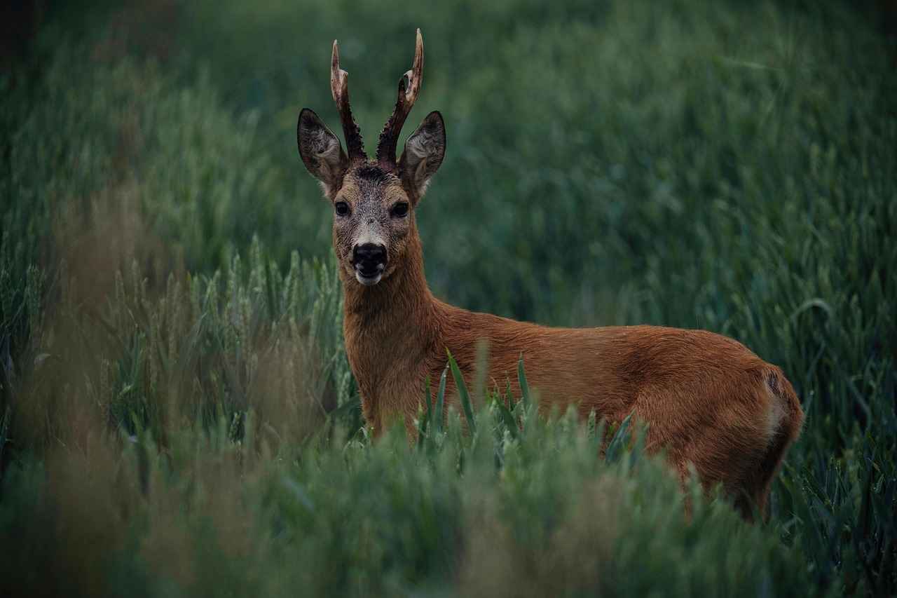 Milwaukee Bucks vs. Toronto Raptors: Key Stats from the NBA Showdown 3 Player Highlights
