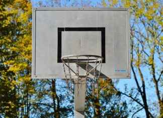 Minnesota Timberwolves vs. Phoenix Suns: Performance Breakdown and Stats Minnesota Timberwolves vs. Phoenix Suns: Performance Breakdown and Stats