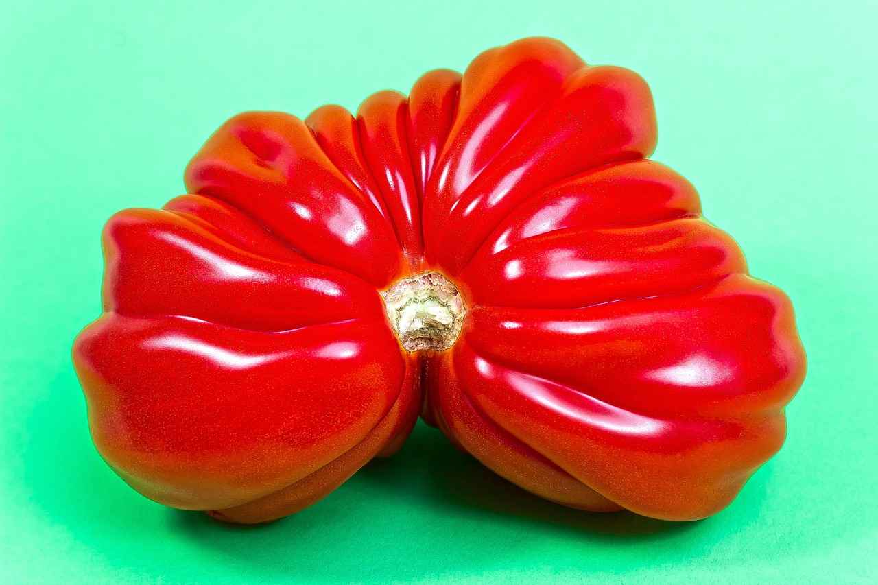 Minnesota Timberwolves vs. Portland Trail Blazers: Key Performers and Stats 7 Fan Engagement and Community Impact