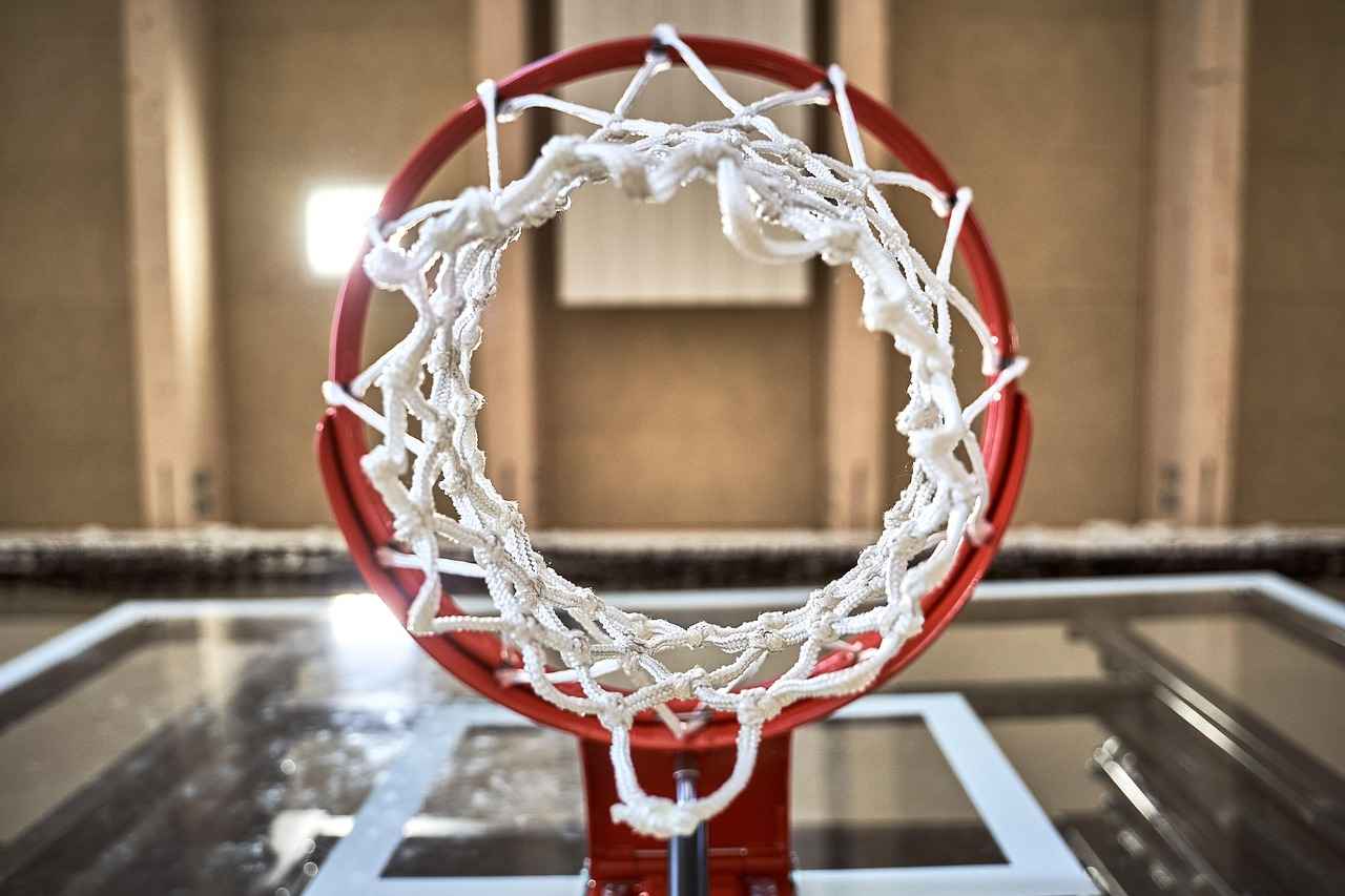 Overview of the Utah Jazz