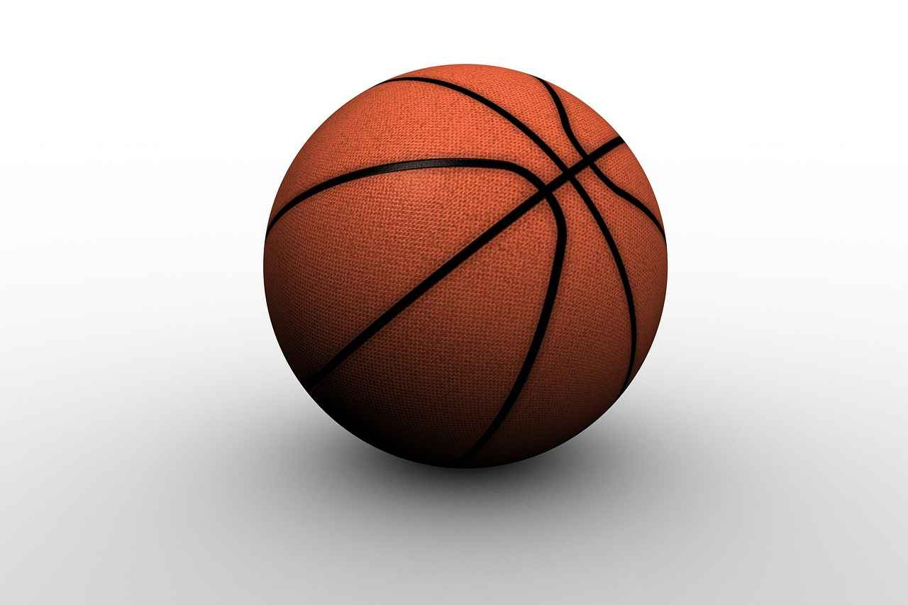 Minnesota Timberwolves vs. Washington Wizards: Match Analysis and Player Stats 2 Recent Performance Trends