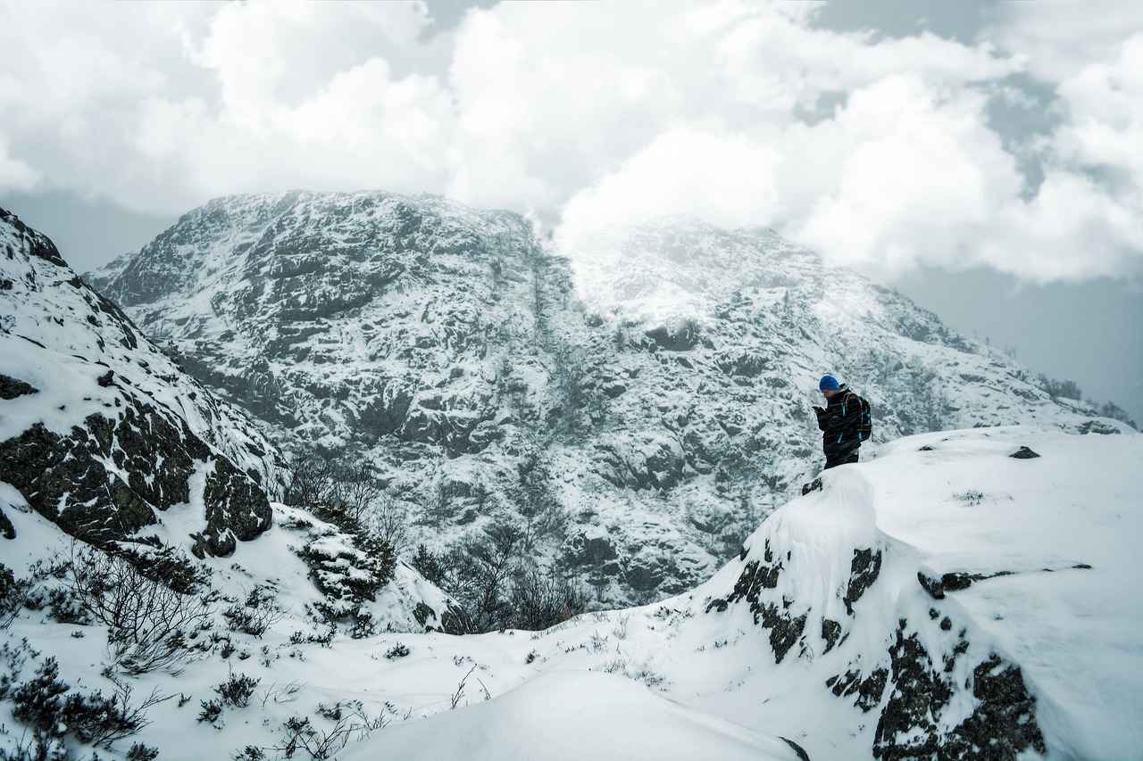 Minnesota Vikings vs Chicago Bears Match Player Stats 1 Overview of the Minnesota Vikings Season