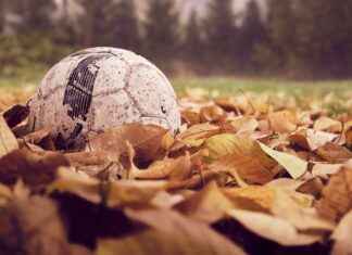 Minnesota Vikings vs. Detroit Lions: Game Highlights and Player Stats Minnesota Vikings vs. Detroit Lions: Game Highlights and Player Stats