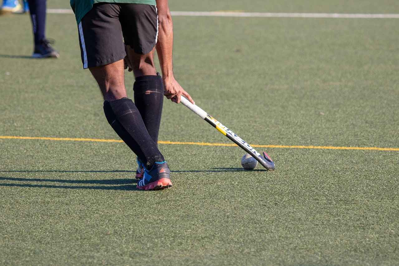 Minnesota Wild vs. Nashville Predators: Player Stats and Highlights 7 Future Outlook for Both Teams