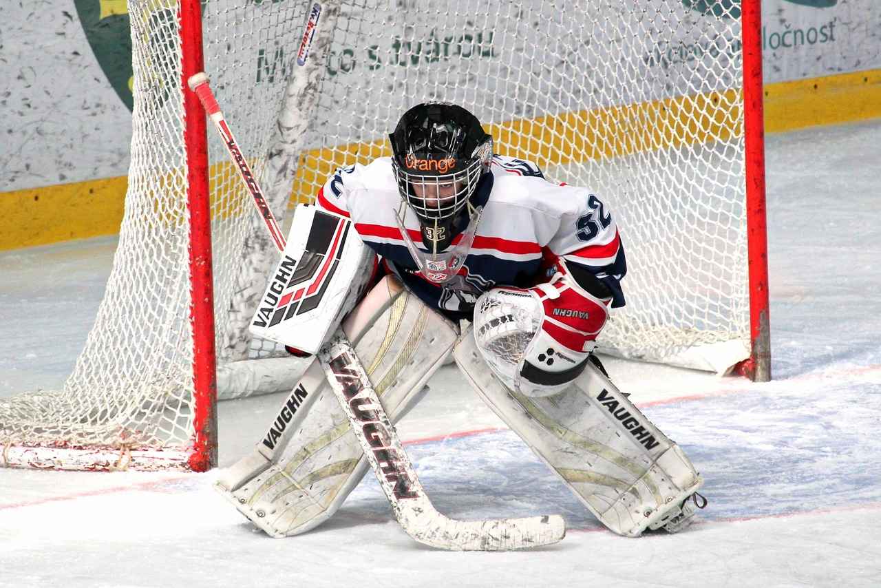 Minnesota Wild vs. St. Louis Blues: Player Stats and Game Breakdown 5 Head-to-Head Matchup: Wild vs. Blues