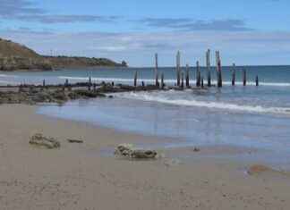 Moana 2 on 123 Movies: How to Stream the Sequel Moana 2 on 123 Movies: How to Stream the Sequel