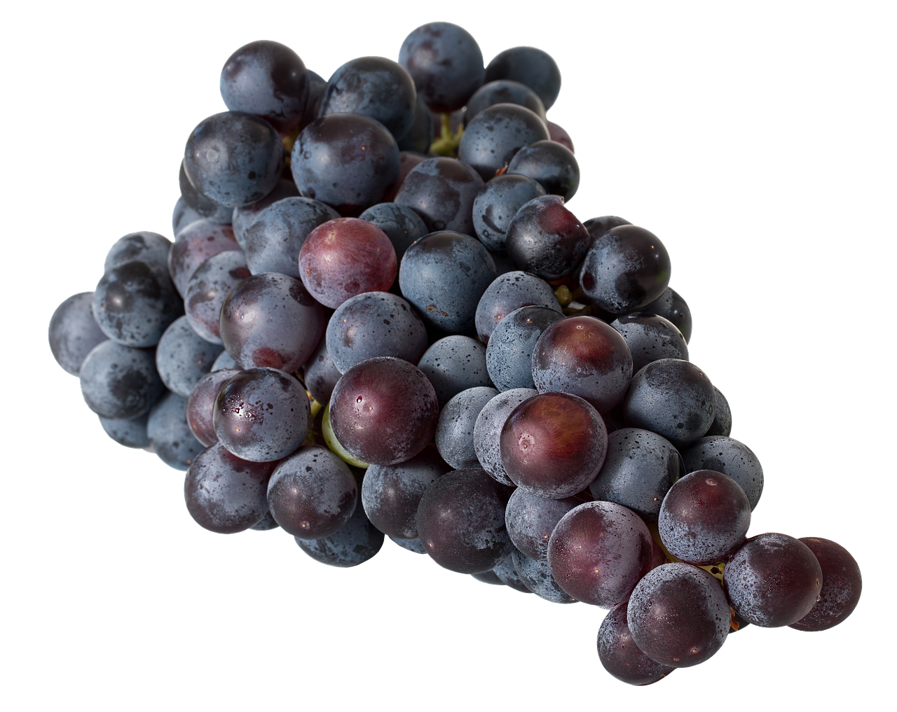 Why Is Moscato Wine Gaining Popularity Again?