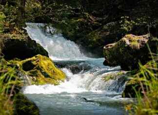 Movie 123 Full HD Streaming Tips Movie 123 Full HD Streaming Tips