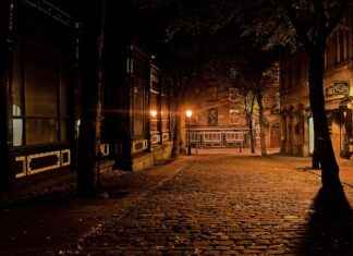 Movie Trivia for Kids: Fun Facts for Family Movie Night Movie Trivia for Kids: Fun Facts for Family Movie Night