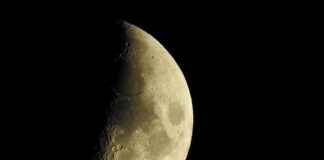 MovieKids: Is This the Best Streaming Site for Family-Friendly Films? MovieKids: Is This the Best Streaming Site for Family-Friendly Films?