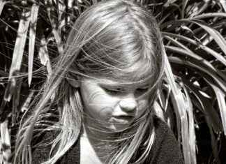 Movies to Watch for Kids: Best Films for All Ages Movies to Watch for Kids: Best Films for All Ages