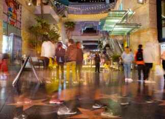 Impact of Trump’s Policies on Local Tourism mpact-of-trumps-policies-on-local-tourism