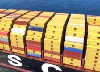 Impact of Trump’s Tariffs: Timeframe for Effects to Emerge mpact-of-trumps-tariffs-timeframe-for-effects-to-emerge