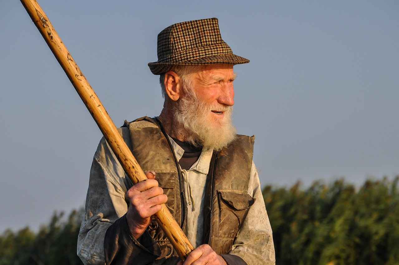 Understanding Adult Content Consumption Trends