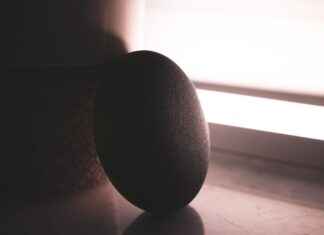 Must-Have Smart Home Devices for the Tech-Savvy Homeowner Must-Have Smart Home Devices for the Tech-Savvy Homeowner