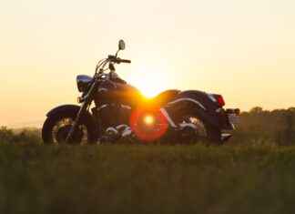 Must-Have Vegetable Choppers for Chopping, Slicing, and Dicing Must-Have Vegetable Choppers for Chopping, Slicing, and Dicing