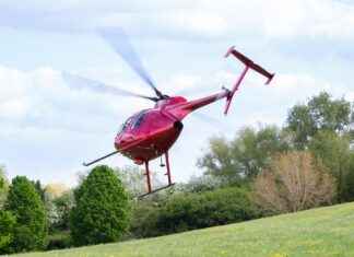 Must-Have Vegetable Choppers for Home Cooks in 2023 Must-Have Vegetable Choppers for Home Cooks in 2023