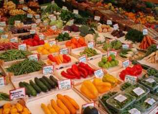 Must-Have Vegetable Choppers for Home Cooks Who Want Speed Must-Have Vegetable Choppers for Home Cooks Who Want Speed