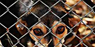 My Girlfriend Cheated on Me With a Senior Chapter 14: What Happens Next? My Girlfriend Cheated on Me With a Senior Chapter 14: What Happens Next?