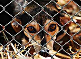 My Girlfriend Cheated on Me With a Senior Chapter 14: What Happens Next? My Girlfriend Cheated on Me With a Senior Chapter 14: What Happens Next?