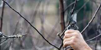 MyEnvoyAir Login Guide and Employee Benefits Breakdown MyEnvoyAir Login Guide and Employee Benefits Breakdown