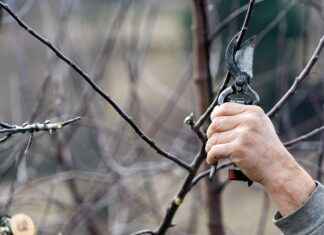 MyEnvoyAir Login Guide and Employee Benefits Breakdown MyEnvoyAir Login Guide and Employee Benefits Breakdown