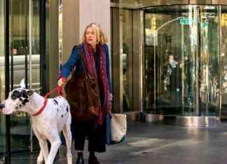 Naomi Watts Shines in ‘The Friend’ Review naomi-watts-shines-in-the-friend-review