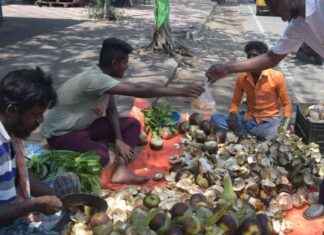 National Guidelines Urged to Protect Street Hawkers from Heatwaves national-guidelines-urged-to-protect-street-hawkers-from-heatwaves