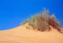 Navajo Pearl Necklace: The History and Beauty of Southwestern Jewelry Navajo Pearl Necklace: The History and Beauty of Southwestern Jewelry