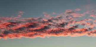 NCED Cloud Explained: Student Login Tips & Troubleshooting NCED Cloud Explained: Student Login Tips & Troubleshooting