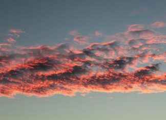 NCED Cloud Explained: Student Login Tips & Troubleshooting NCED Cloud Explained: Student Login Tips & Troubleshooting