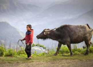 Netflix Movies for Kids: Top Picks for Streaming Fun Netflix Movies for Kids: Top Picks for Streaming Fun