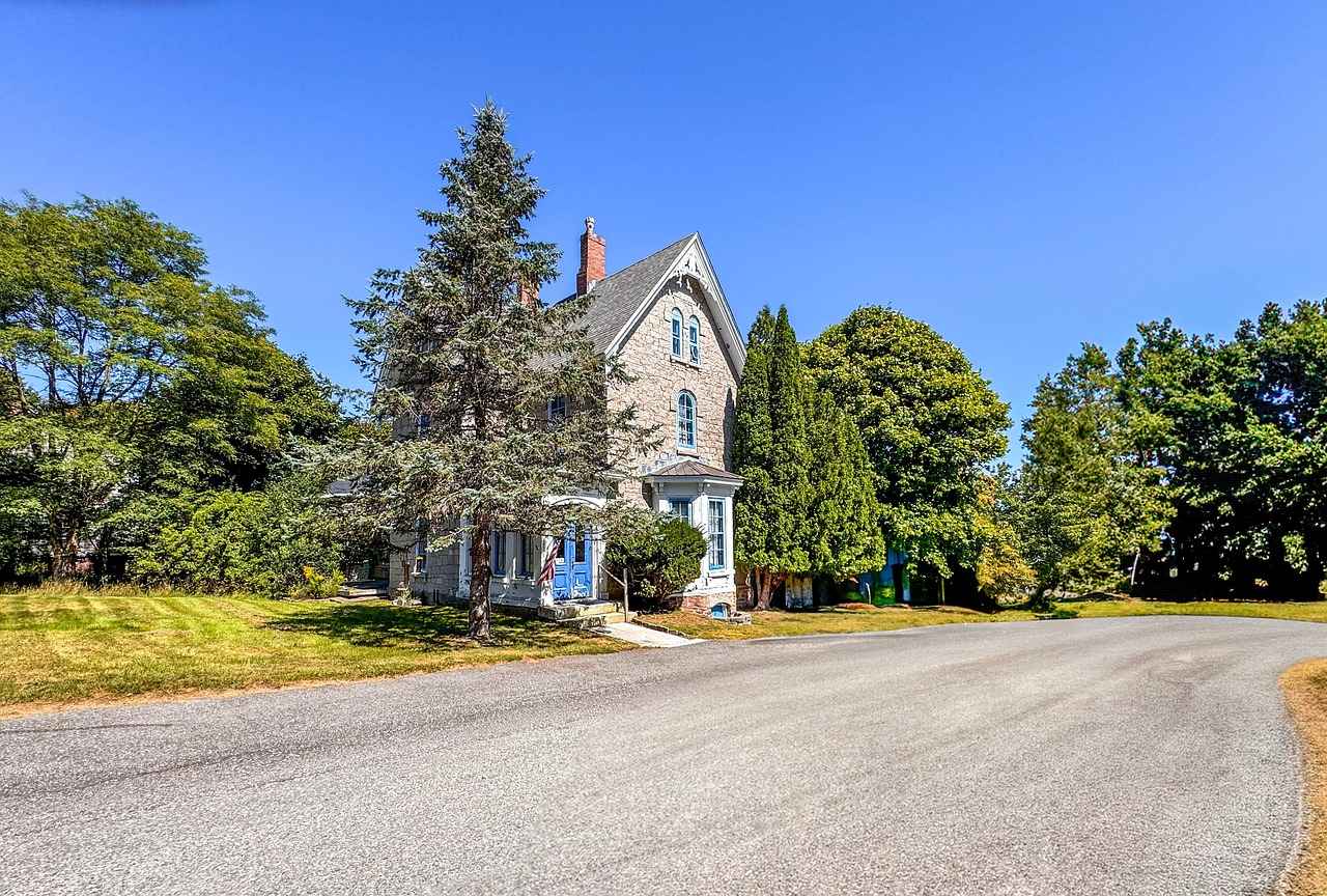 New England Patriots vs Bengals Match Player Stats 6 Injury Reports and Effects